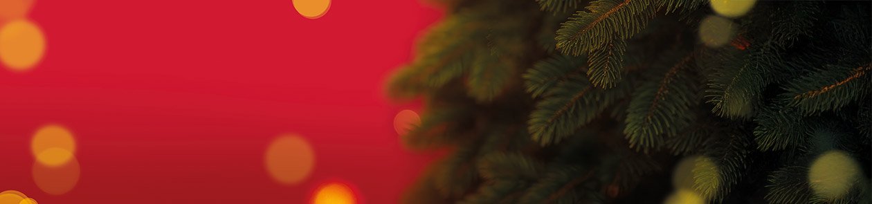 /content/dam/cultura-one/2025/op_co_evenements/noel/BAN_fond_noel.jpg