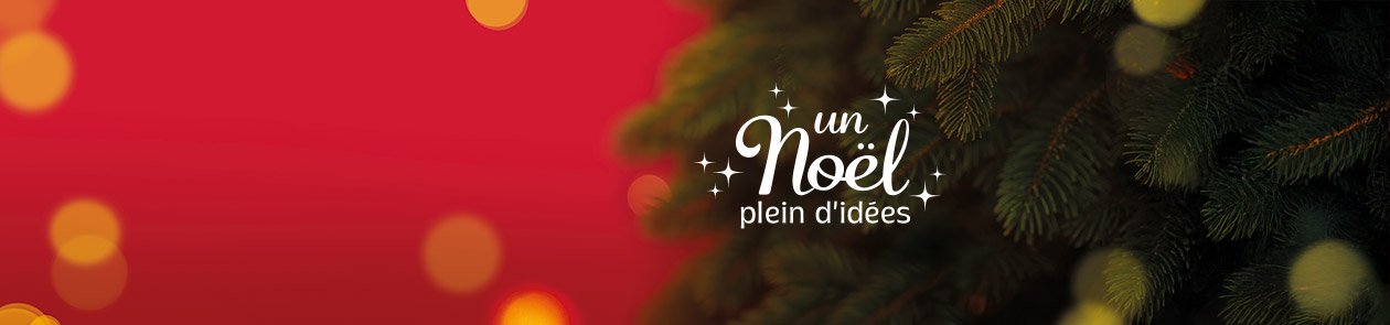 /content/dam/cultura-one/2025/op_co_evenements/noel/BAN_noel_2.jpg