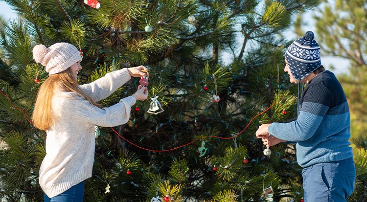 Déco de jardin pour Noël