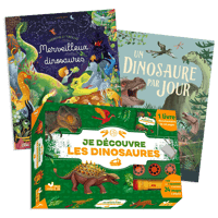 Idées cadeaux