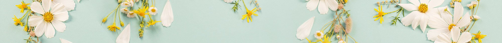 Rituels de printemps