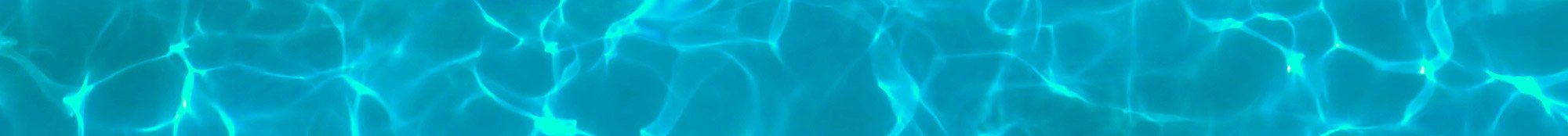 Cahiers de vacances adulte