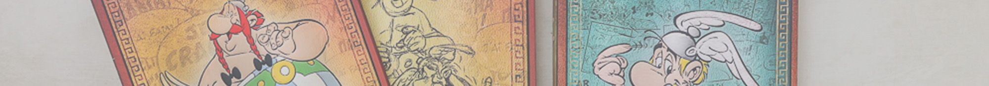 Asterix Paperblanks
