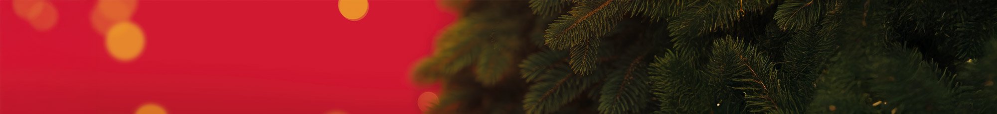Coffrets Livres de Noël
