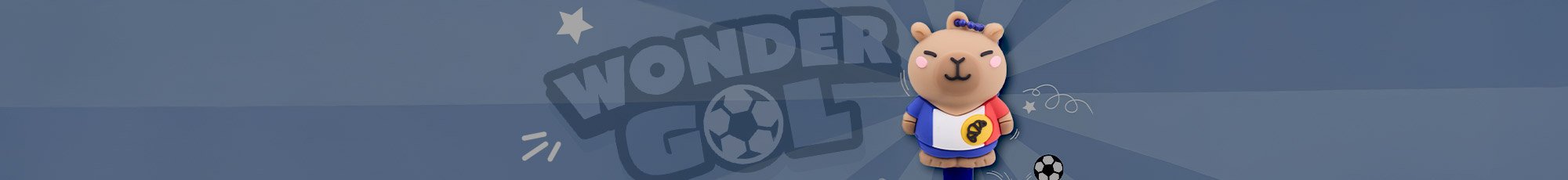 Wonder Gol Mr. Wonderful