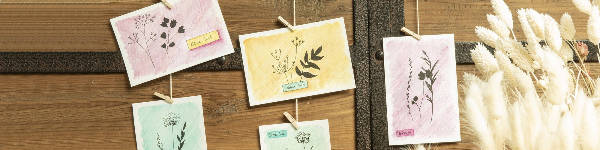 Herbiers aux crayons aquarelle