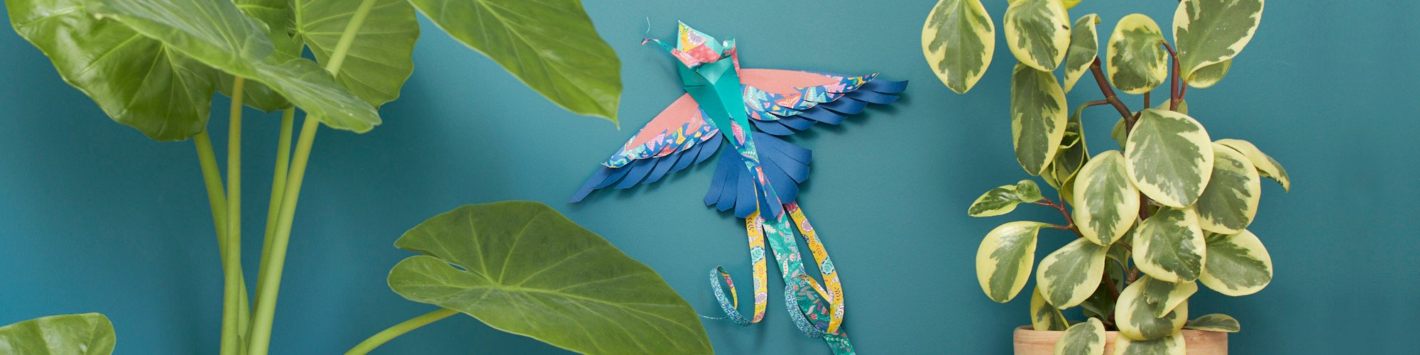 L’Oiseau de la jungle en papier​ avec DRAEGER