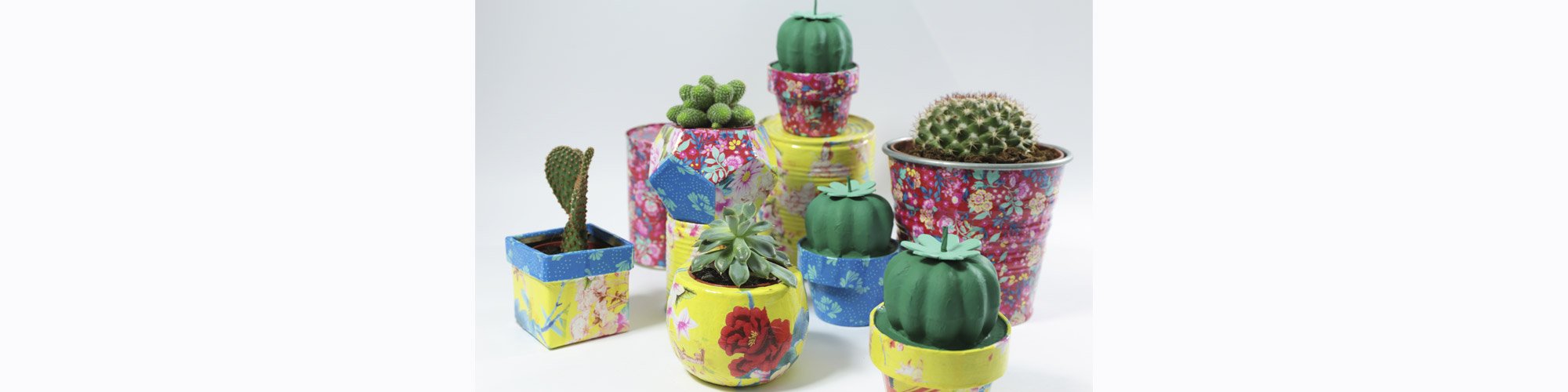 Cactus en décopatch® 