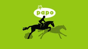 Chevaux, poney