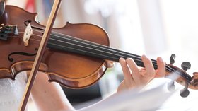 Violons