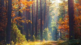 Livre nature writing