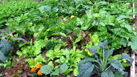 Livres de permaculture