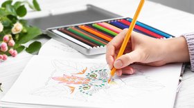 Livres Coloriage adulte