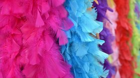 Plumes