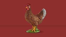 Animaux de