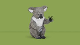 Animaux de 