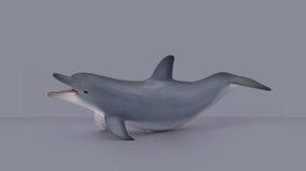 Animaux 