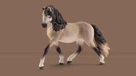 Chevaux et