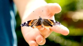 La nature & 