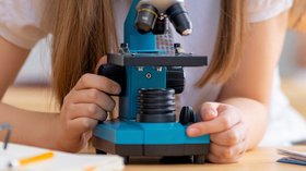 Jeux scientifiques - STEM
