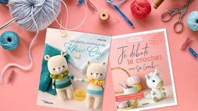 Livre crochet