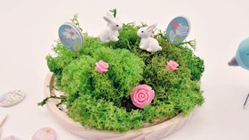 Herbe et mousse