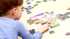 Puzzle Dinosaure