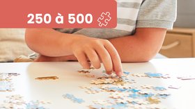 Puzzle 9 ans 