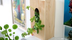 Supports à décorer