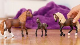 Schleich
