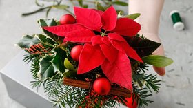 Décoration