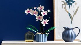 Plantes