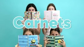 Carnets
