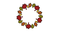 Projet 1