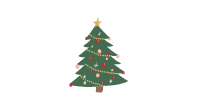 Sapin