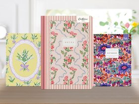 Cahiers et carnets