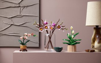 Placeholder - Home Inspiration