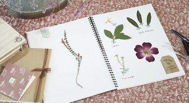 Herbier DIY 