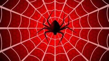 Spider Man