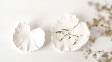 Coupelle végétale en plâtre