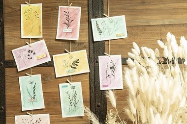 Herbiers aux crayons aquarelle