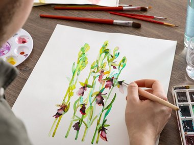 Comment peindre à l'aquarelle ?