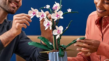 Les meilleurs jeux de construction de fleurs