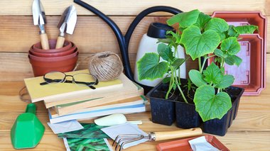 Top 10 des livres pour faire son potager