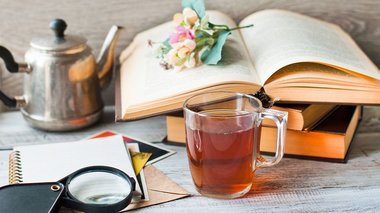 Tout savoir sur le cosy mystery