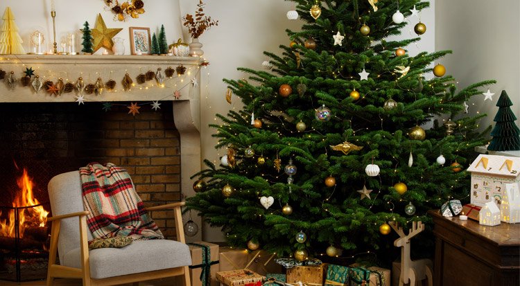 /content/dam/cultura-one/2024/noel/TUTO_CMS_ambiancesapin.jpg