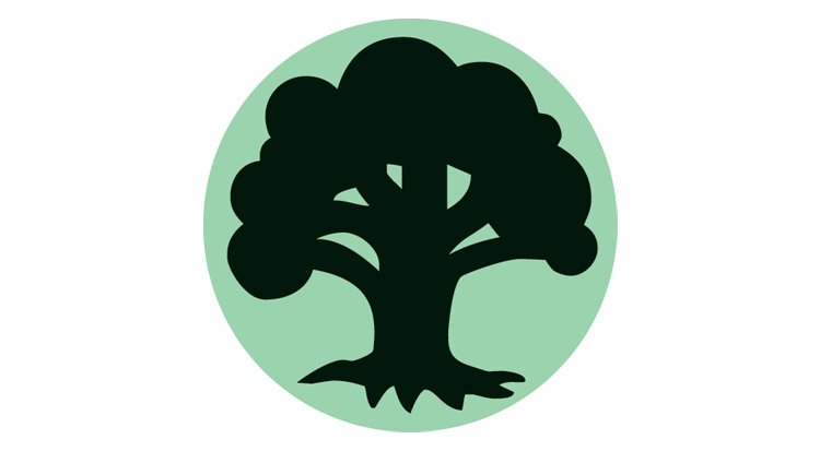 /content/dam/cultura-one/les-guides/jeux-de-societe/decouverte-cartes-magic/TUTO_CMS_Mana_2.jpg