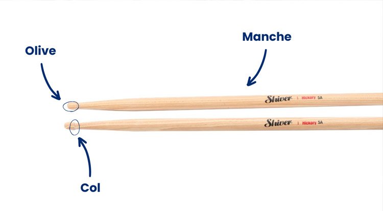 /content/dam/cultura-one/les-guides/musique/bien-choisir-ses-baguettes-de-batterie/choisir-baguettes-de-batterie-update/TUTO_CMS_Baguettes-batterie-manches.jpg