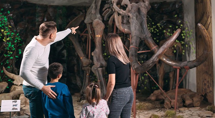 /content/dam/cultura-one/les-guides/univers-enfants/quelles-activités-en-famille-/TUTO_CMS_activites_famille_11.jpg