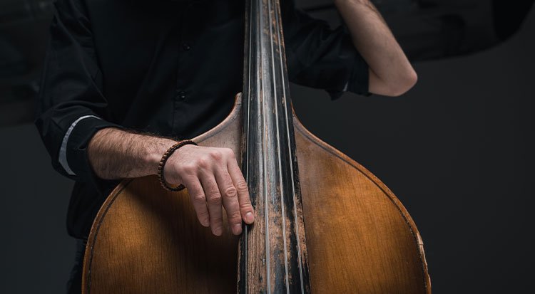 /content/dam/cultura-one/les-guides/univers-musique/tout-savoir-sur-musique-folk/TUTO_CMS_musique_folk_5.jpg
